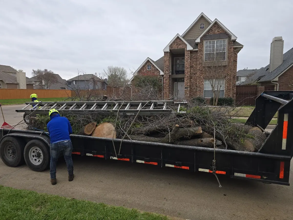 Expert Tree Removal with proper safety equipment in Cassatt
